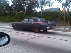 IMG00528-20110407-1143.jpg