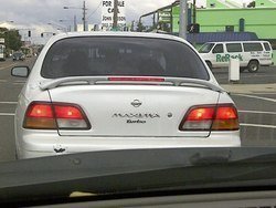 IMG-20111003-00590.jpg