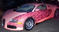 wtf-1.jpg