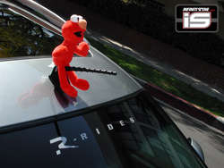 DSCN2300.jpg