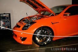 HIN2008_1403.jpg