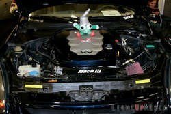 HIN2008_1183.jpg