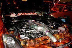 HIN2008_0941.jpg