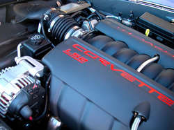 ls2.jpg