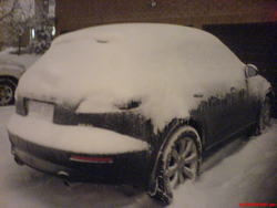 DSC00337.jpg