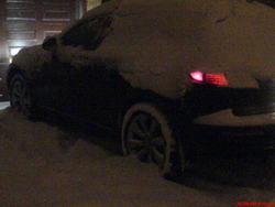 DSC00340.jpg