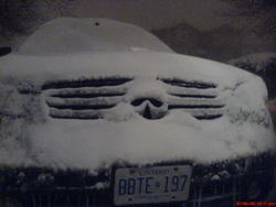 DSC00342.jpg