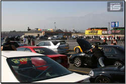 IMG_8087Large.jpg