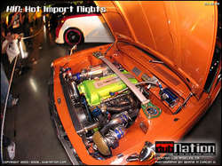 2-hin_265.jpg