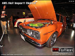 2-hin_263.jpg