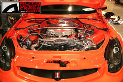 cl42.jpg