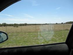 IMG_3846.jpg