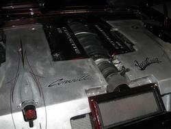 IMG_1932Large.jpg