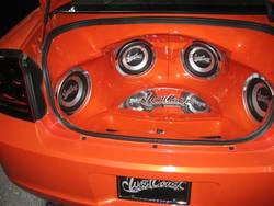 IMG_1928Large.jpg