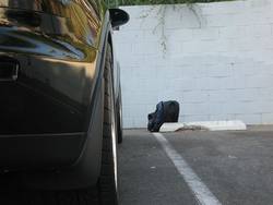 side_5.jpg