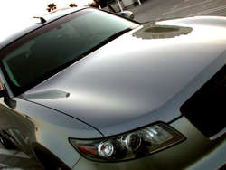 AloneHoodDetail.jpg