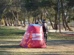 DSC03073.jpg DSC03073.jpg