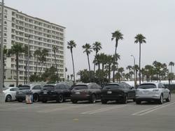 IMG_0746.jpg