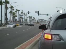 IMG_0732.jpg