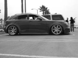 IMG_0781.jpg