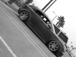 IMG_0784.jpg