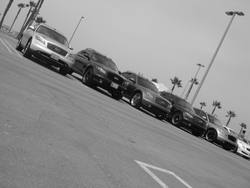 IMG_0794.jpg