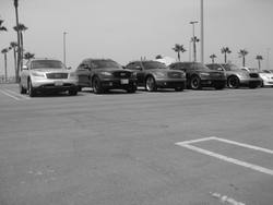 IMG_0795.jpg
