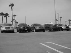 IMG_0798.jpg