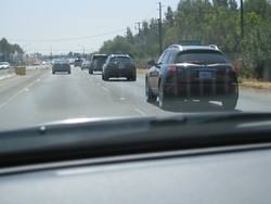IMG_0802.jpg