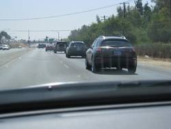 IMG_0803.jpg