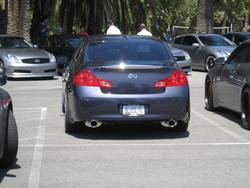 IMG_0808.jpg