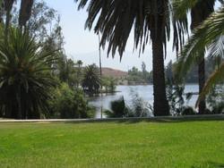 IMG_0822.jpg