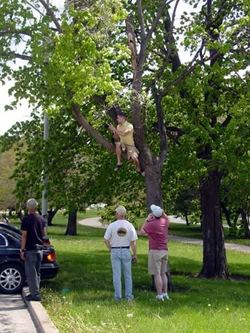 Meet-TreeCube.jpg