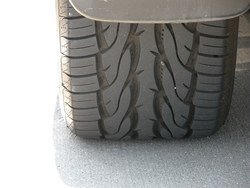 3824917470_2519680657.jpg 3824917470_2519680657.jpg