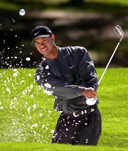 lg_woods_ap-01.jpg