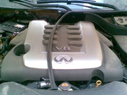 Image003_1.jpg