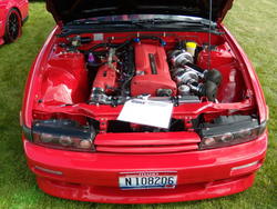 DSCN0425.jpg