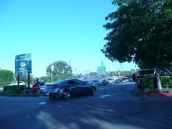 P1000781.jpg