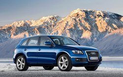 112_0804_05z+2009_audi_q5+side_view.jpg