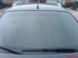 DSC00503.jpg