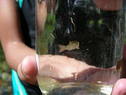 DSCN3716.jpg