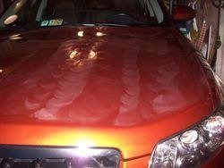 100_1489.jpg