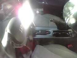 IMG00174.jpg