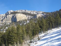 MtCharleston034.jpg