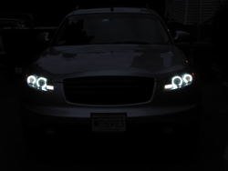 IMG_1000.jpg