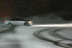 DSC00446.jpg
