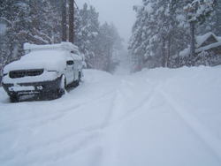 12-17-08snow003.jpg