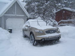 12-17-08snow004.jpg