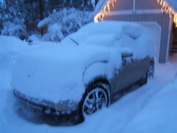 12-17-08snow008.jpg