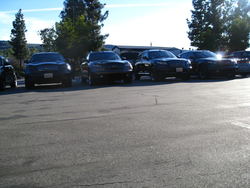 IMG_0366.jpg